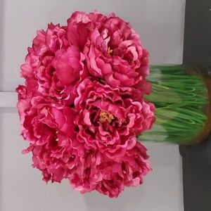 Meet your Posher, Dianne